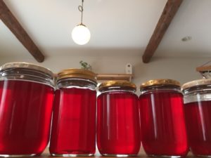 梅酢の栄養・効能と使い方・食べ方 健康のためは見逃せない！