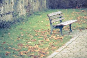 落ち葉の掃除をカンタンにすませたい！コツや道具は？