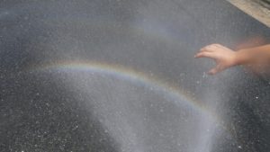 打ち水って場合によっては逆効果!? 湿度を考えた正しいやり方